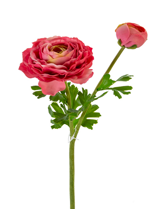 22" Real Touch Ranunculus Stem, Rose Pink