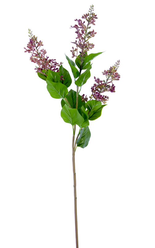 26.5" Angelica Berries w/Leaves, Burgundy