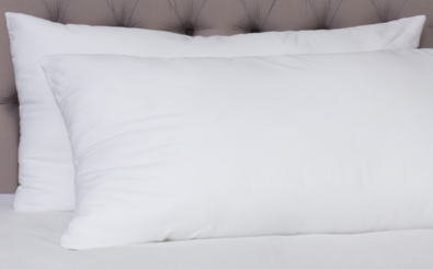 Pillow Insert Dutch Euro