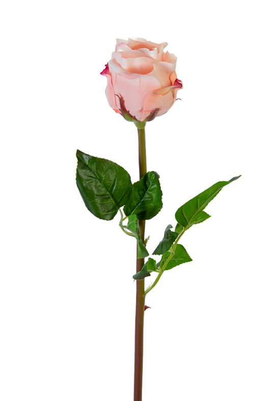 25" Beauty Rose Bud, Light Coral