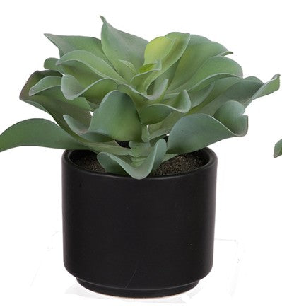 Potted Faux Succulent