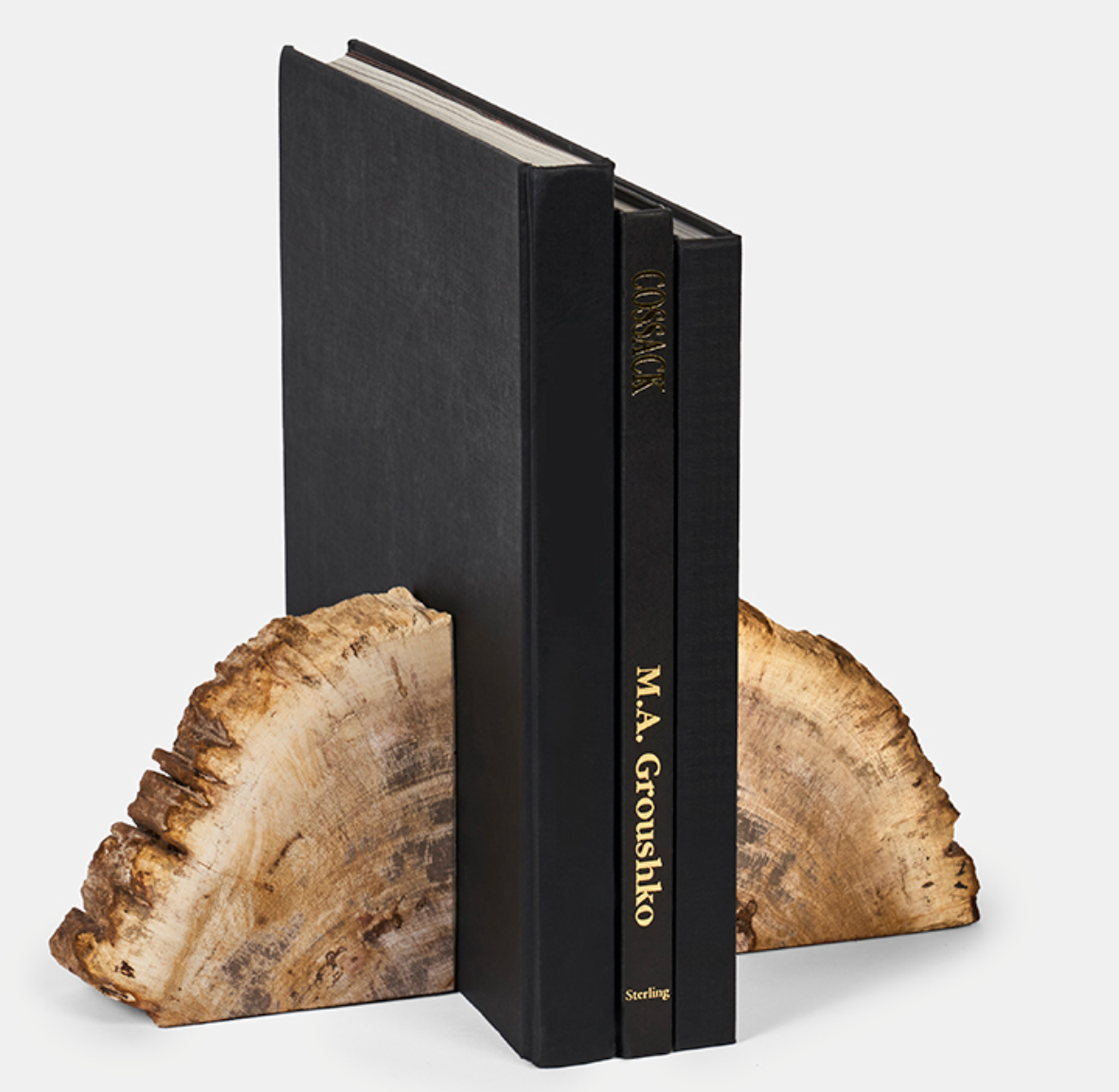 Petrified Wood Bookends, Set of 2