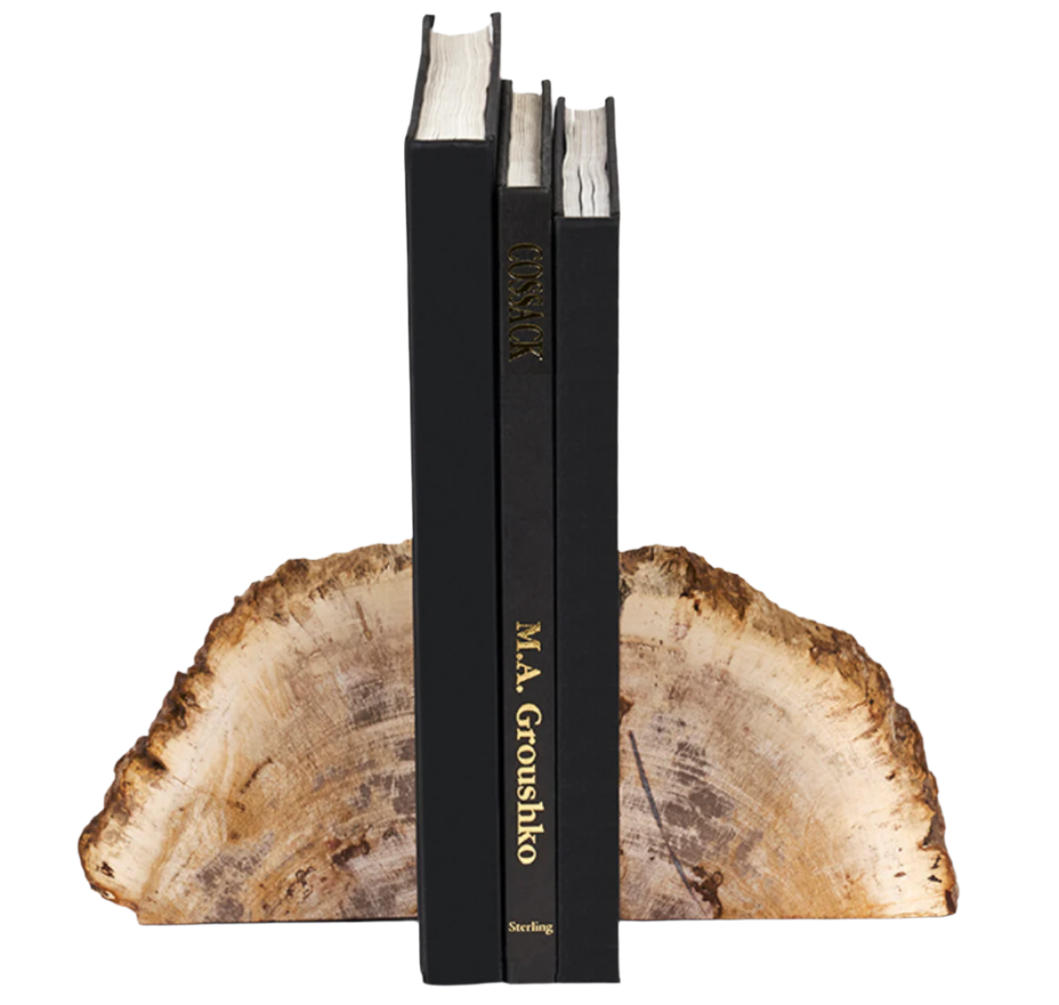 Petrified Wood Bookends, Set of 2