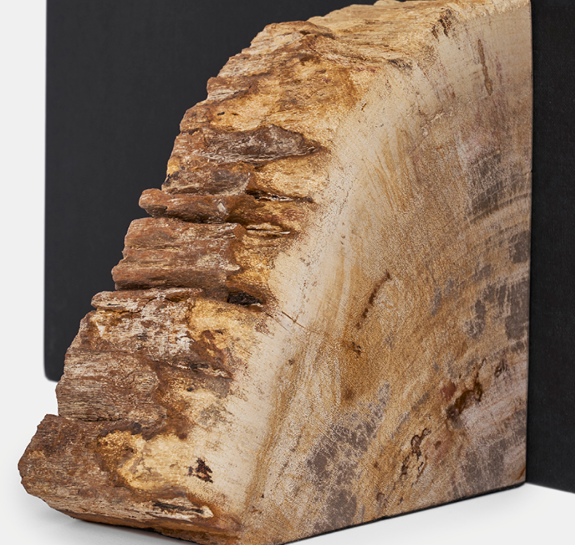 Petrified Wood Bookends, Set of 2