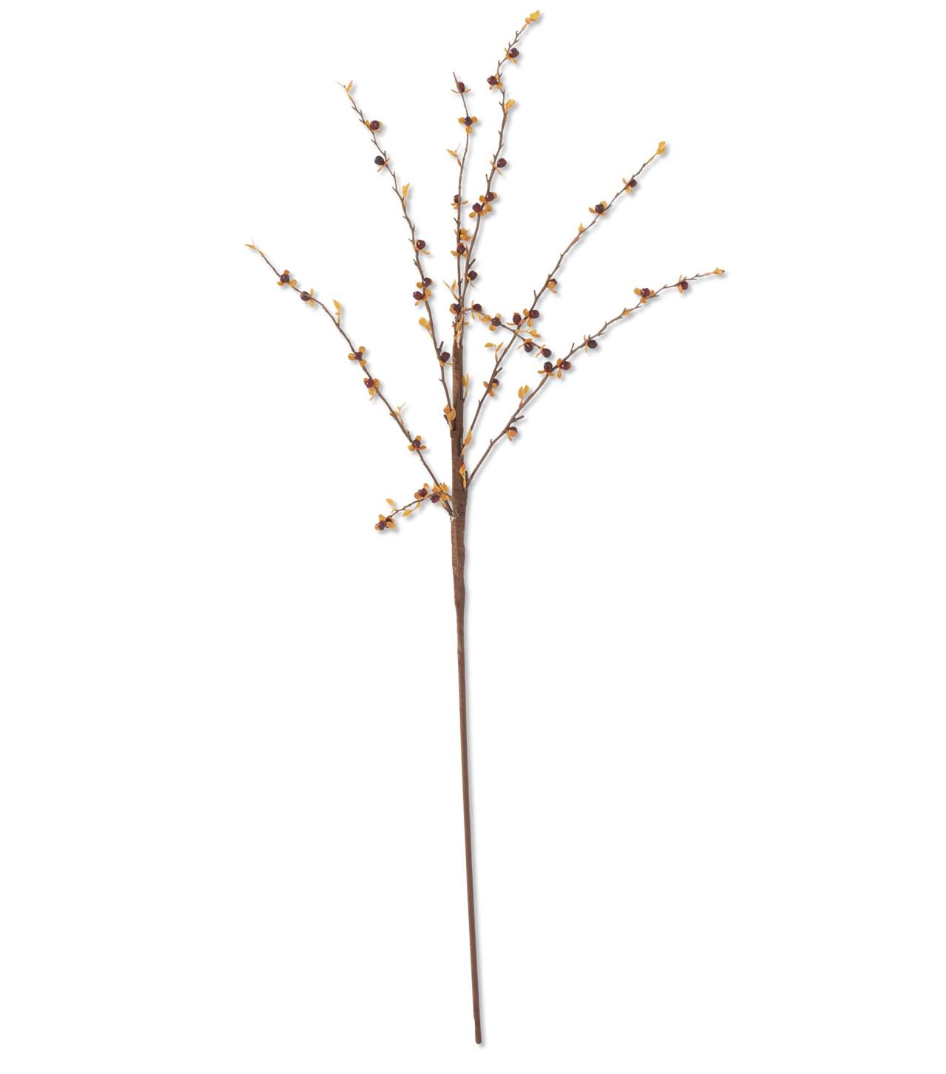 35" Dark Orange Bittersweet Stem