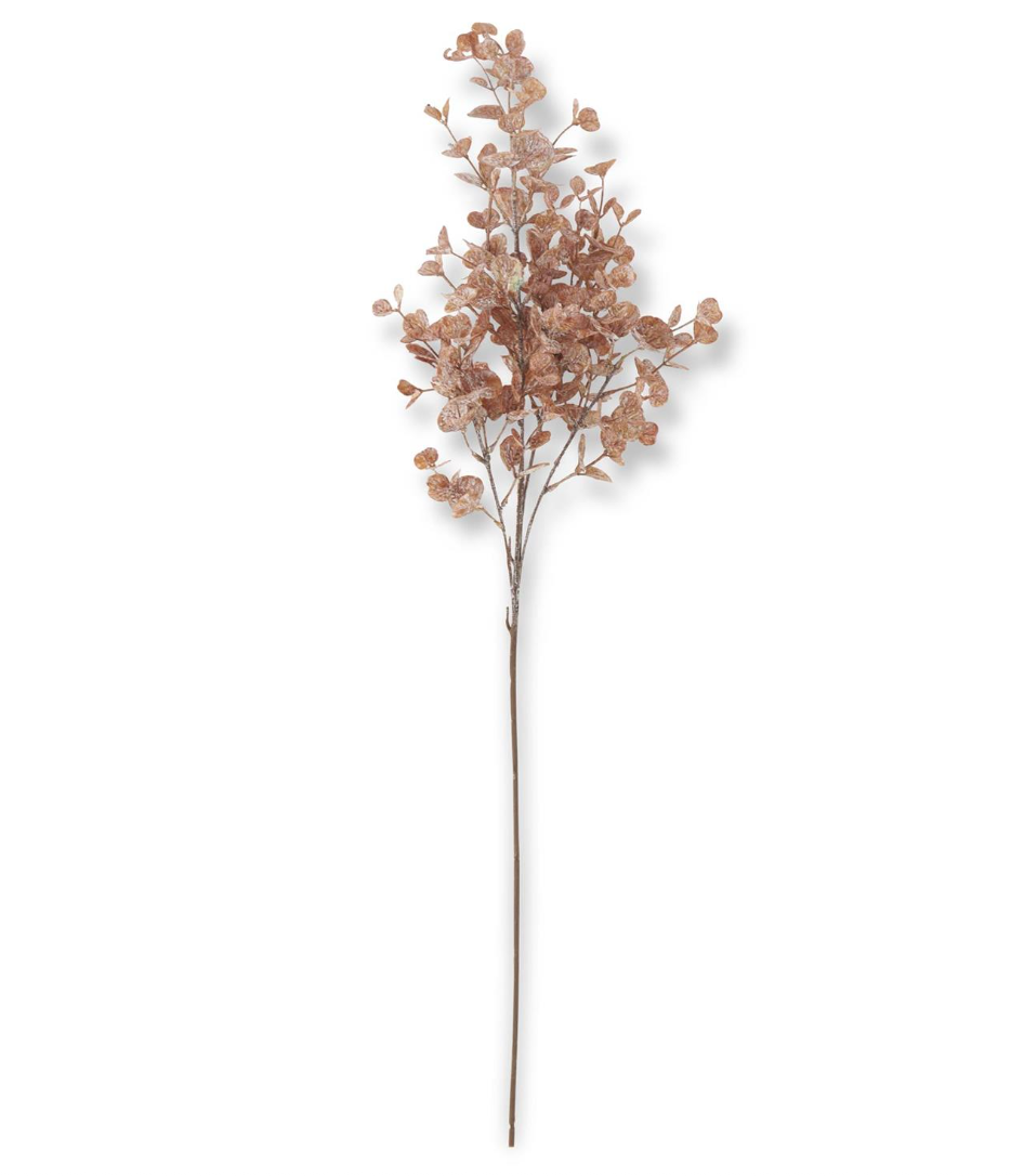 32" Brown White Washed Eucalyptus Stem