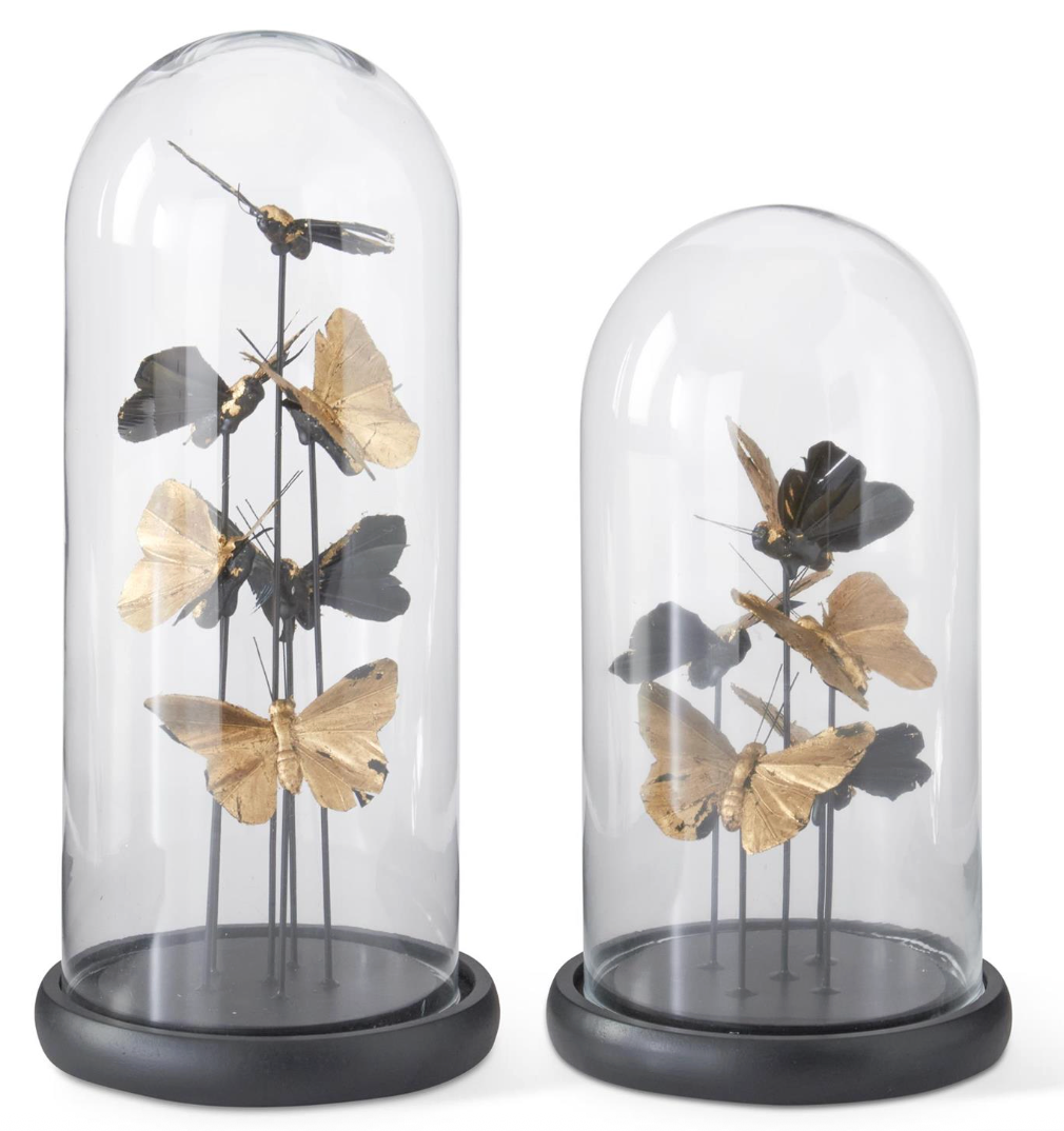 Glass Cloche w/ Gold Butterflies, Set of 2