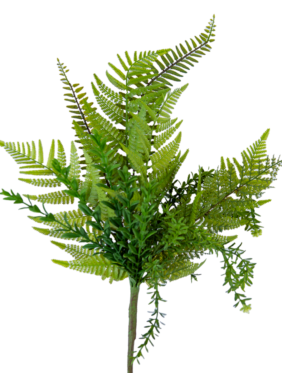 24" Mixed Fern Bush