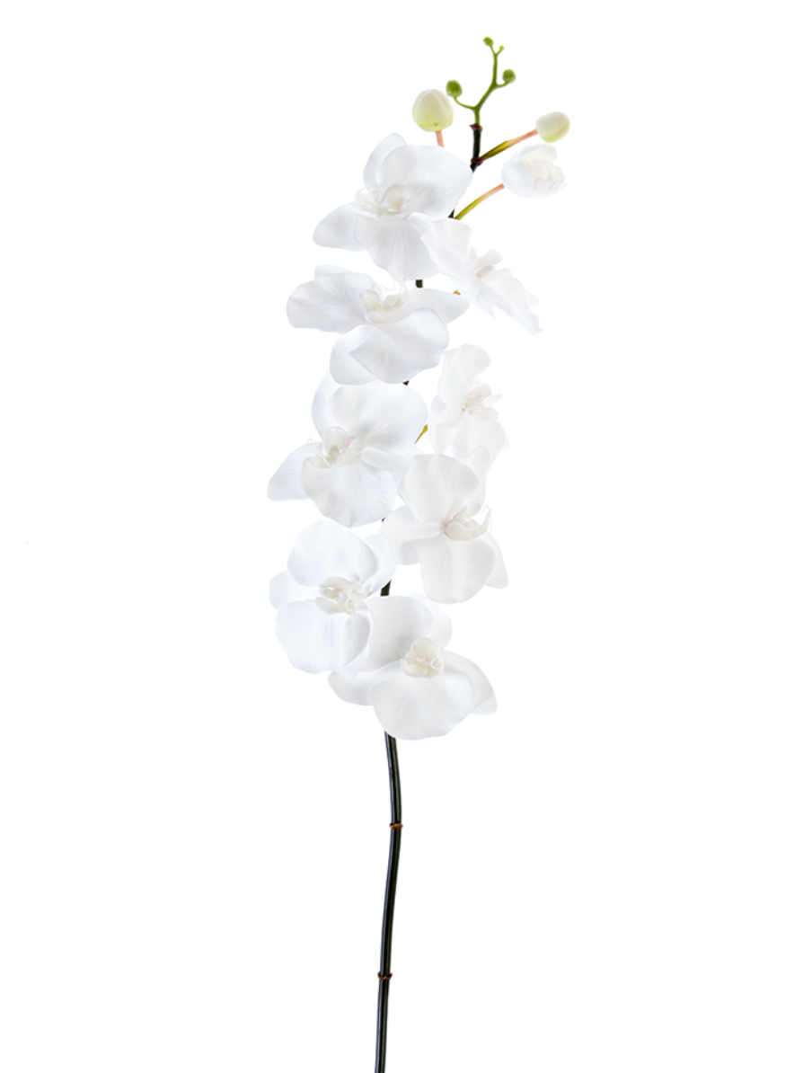 42" White Phalaenopsis Spray