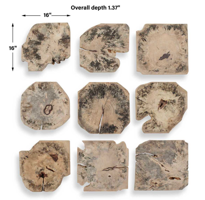 Bahati Bleached Wood Wall Decor (Set of 9)