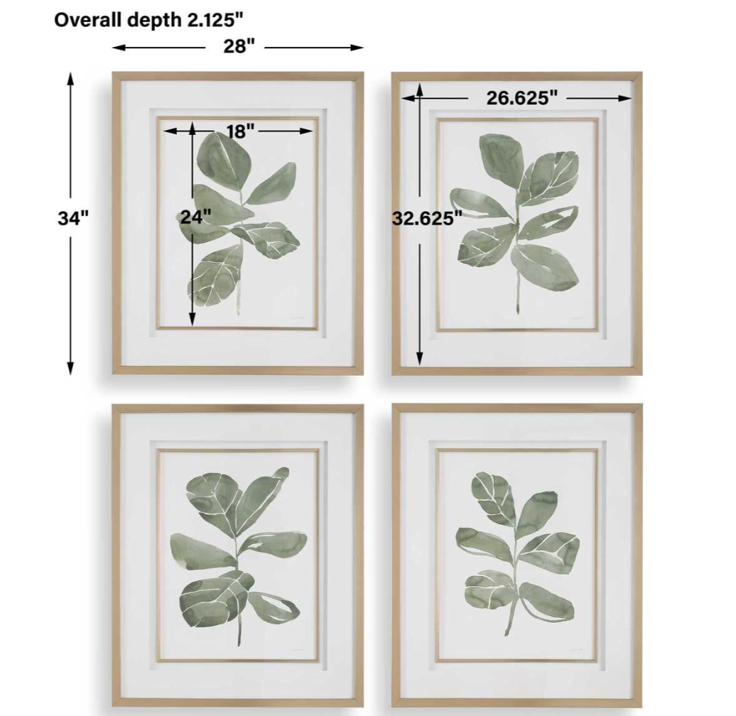 Fiddle Head Leaf Framed Prints, Set of 4