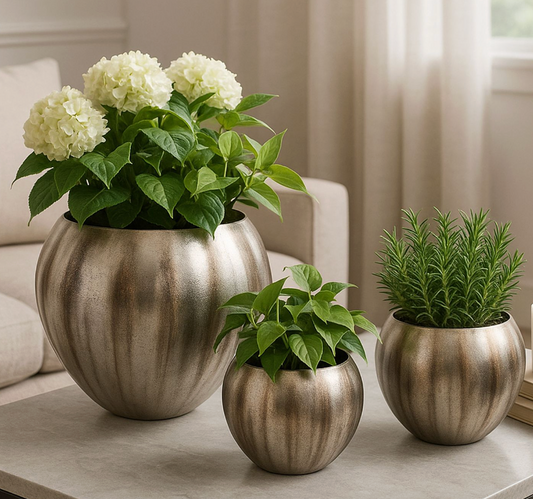 Chantham Planter (Various Sizes)