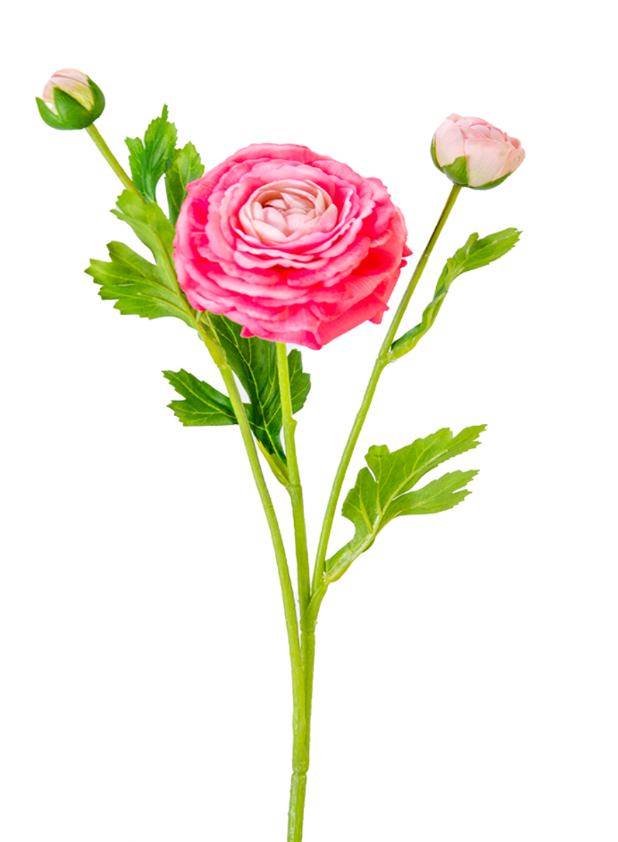 19" Real Touch Ranunculus Spray, Hot Pink
