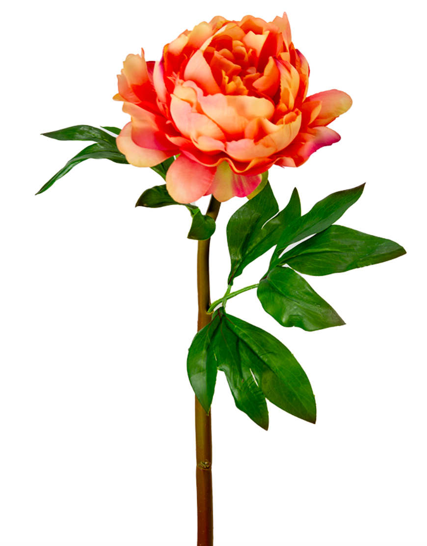 Artificial orange and pink peony flower with green leaves on a white background