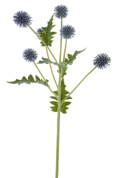 25" Globe Thistle Spray