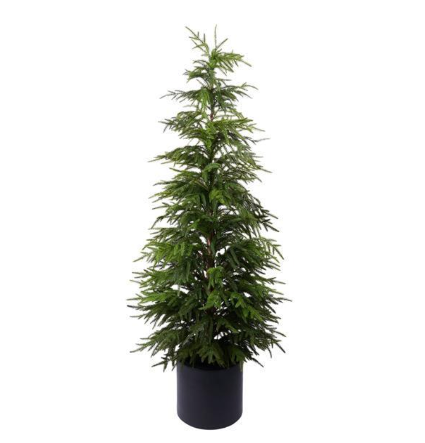 59" Real Touch Norfolk Pine Tree in Pot