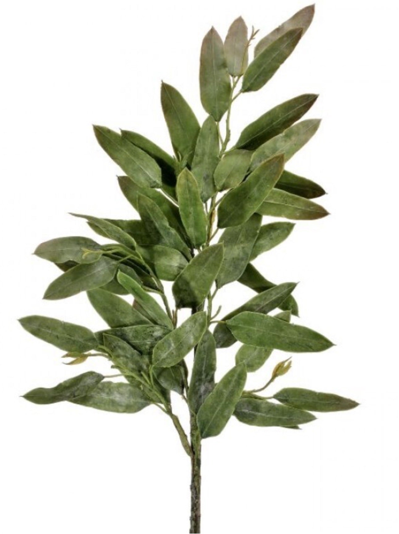 Real Touch Long Eucalyptus Spray 34"