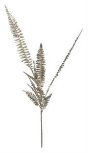 33" Fern Spray, Champagne