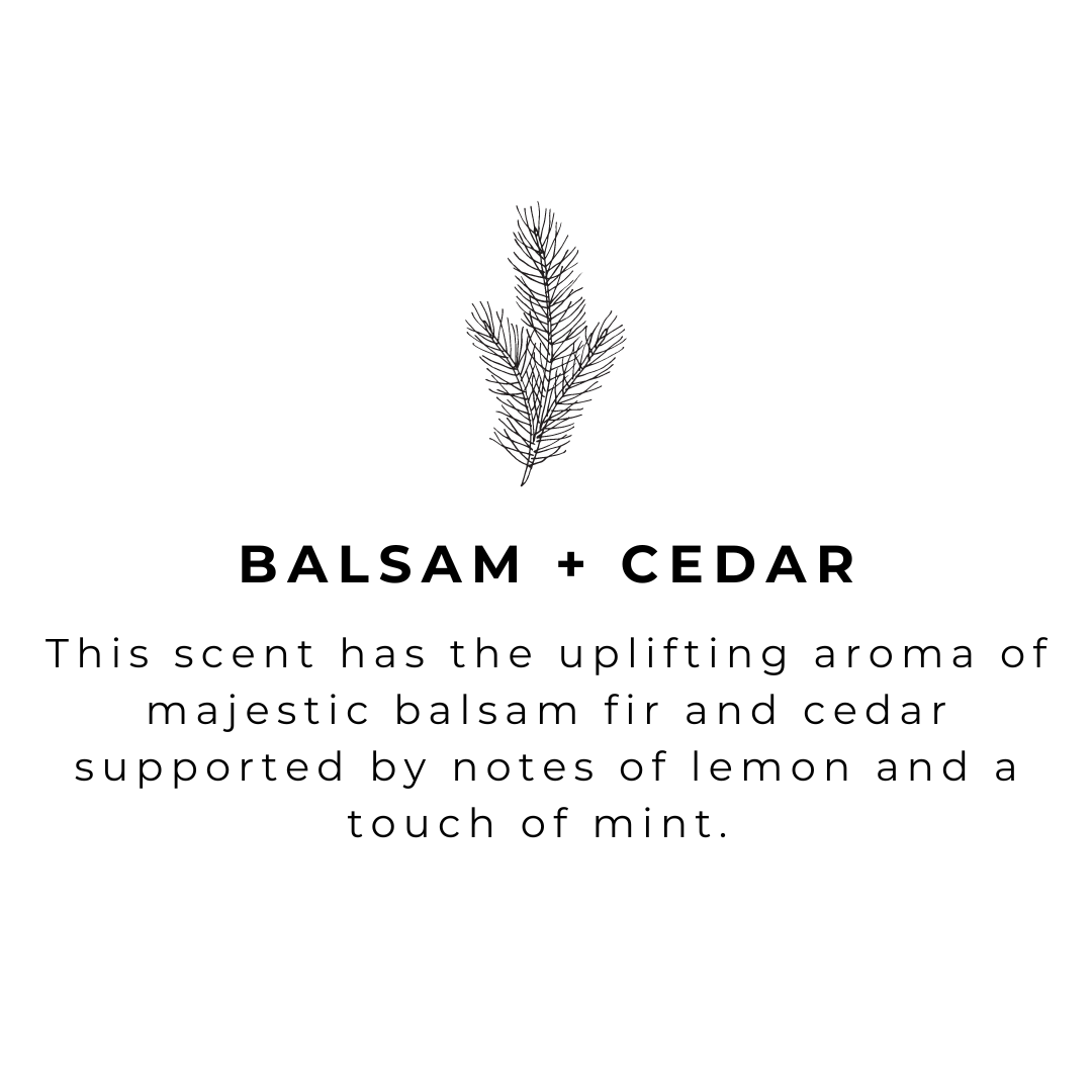 Balsam + Cedar - 16 oz Amber Glass Soap