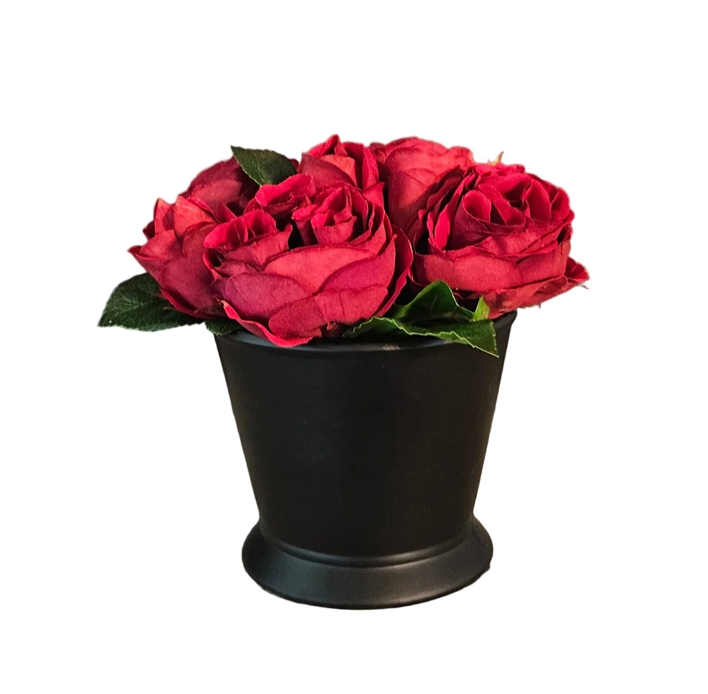 Red Rose Sit Around In Black Container