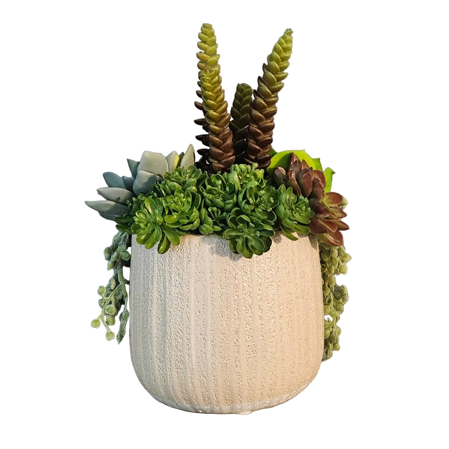 Decorative pot with green succulents on a wooden surface against a gray wall