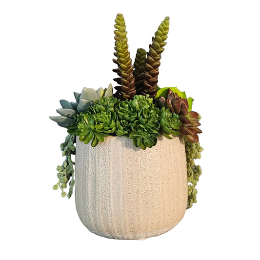 Decorative pot with green succulents on a wooden surface against a gray wall