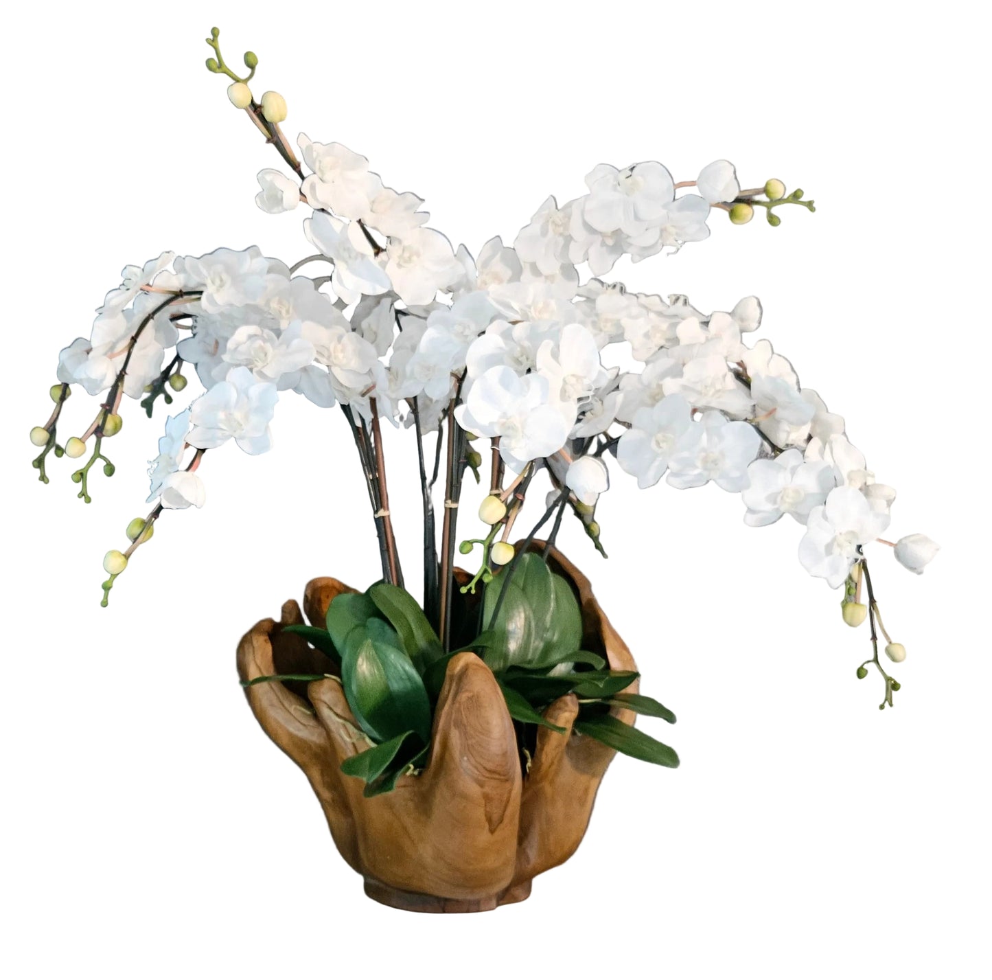 Extra Large Orchid Centerpiece in Carved Teak Container