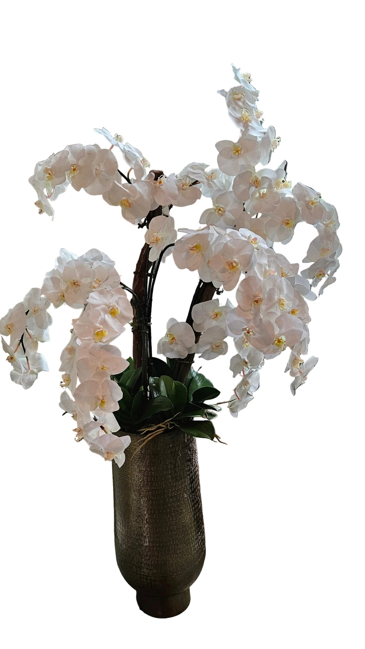 White orchid plant in a decorative pot on a windowsill with a beige wall and tiled floor.