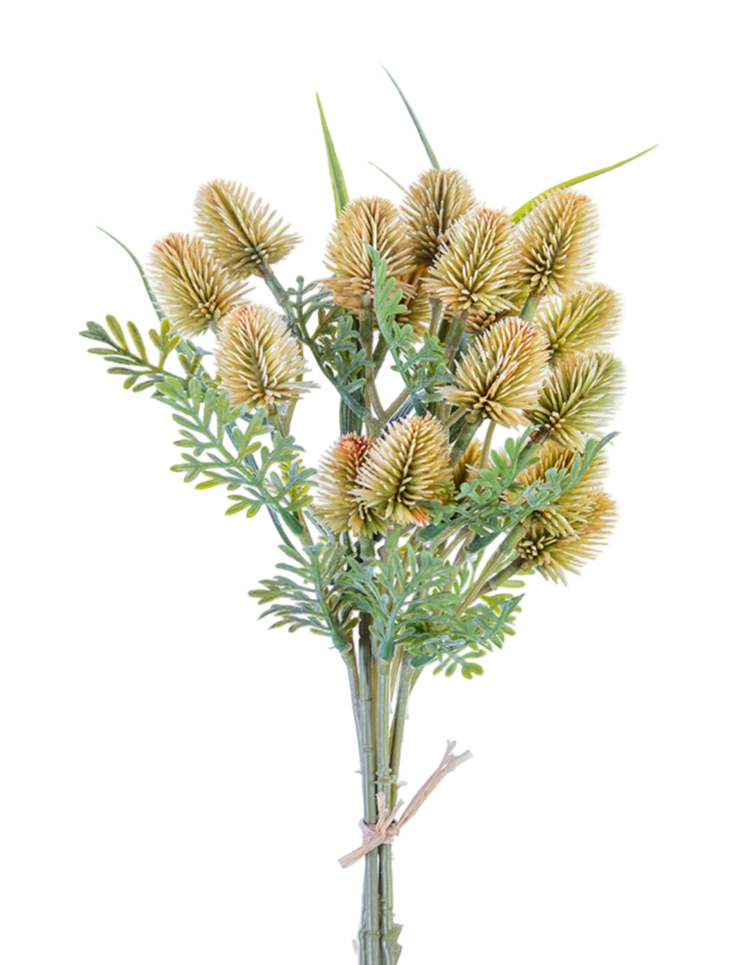 Thistle Bundle