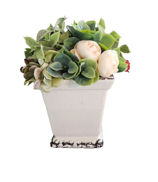 Ranunculus & Succulent Sit Around