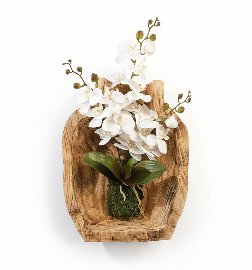 Orchid in Wood Hanging Container