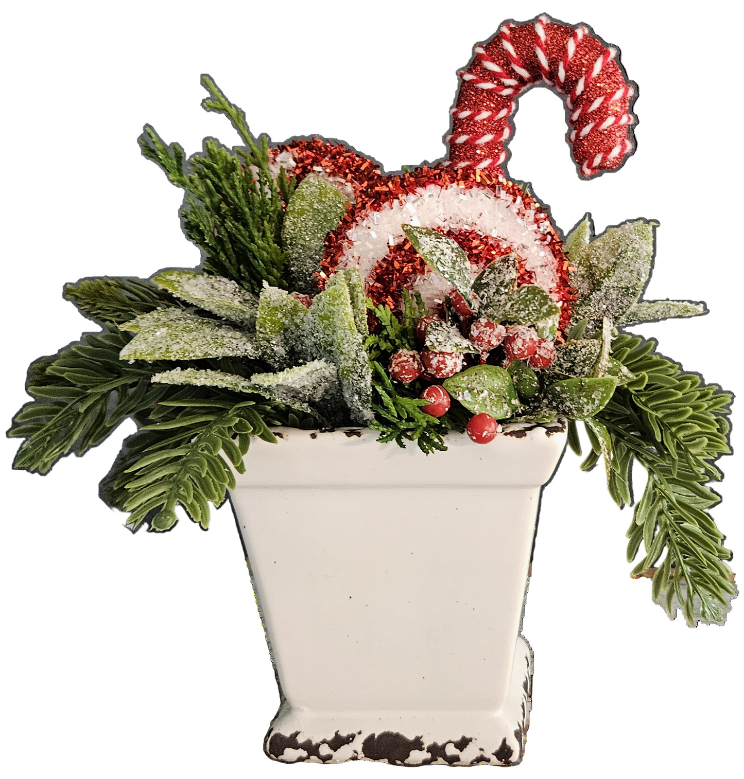 Peppermint Sit Around