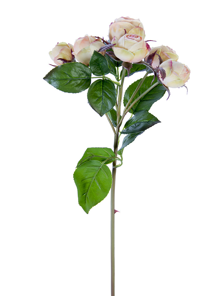 22" English Rose Buds Stem, Coral Yellow