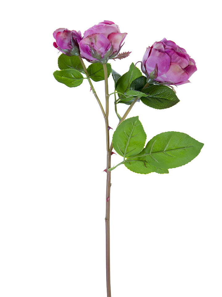 21" Real Touch Cabbage Rose Spray (Various Colors)