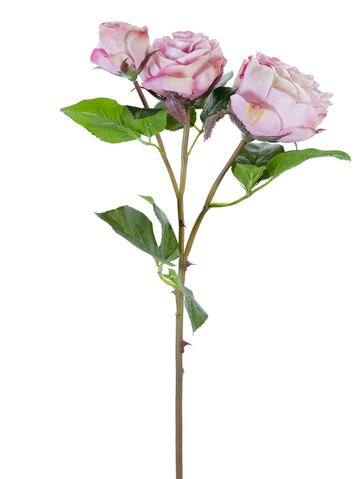 21" Real Touch Cabbage Rose Spray (Various Colors)