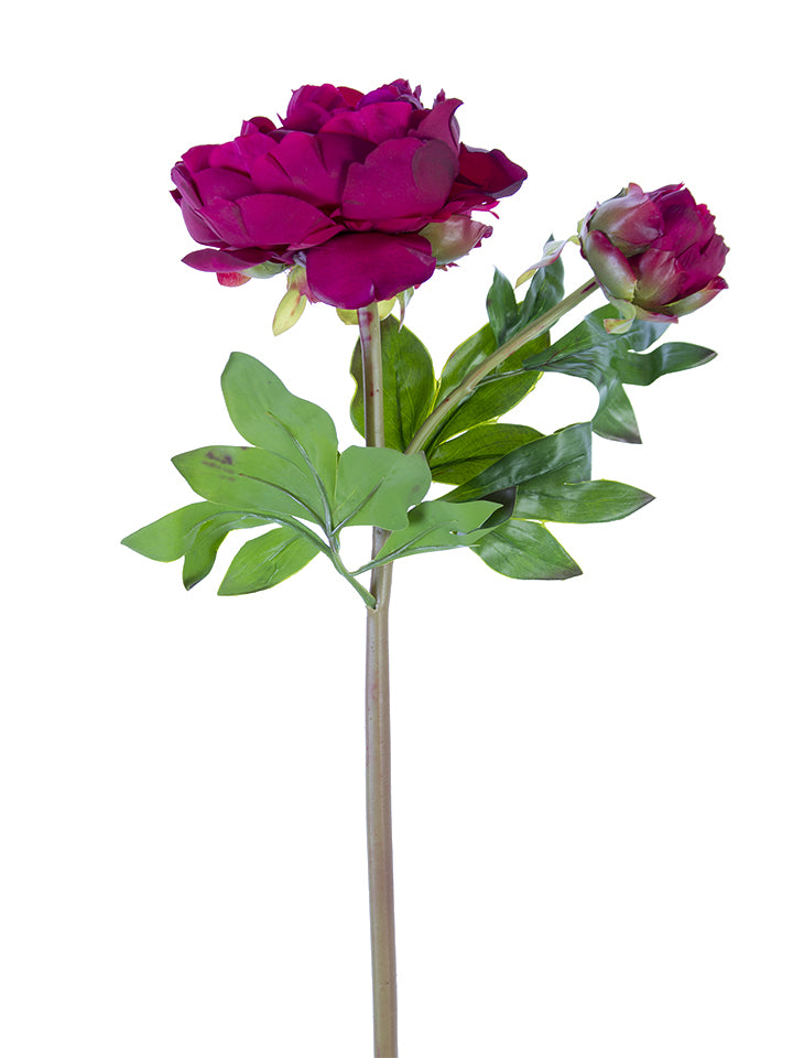 23" Fresh Touch Peony Stems (Various Colors)