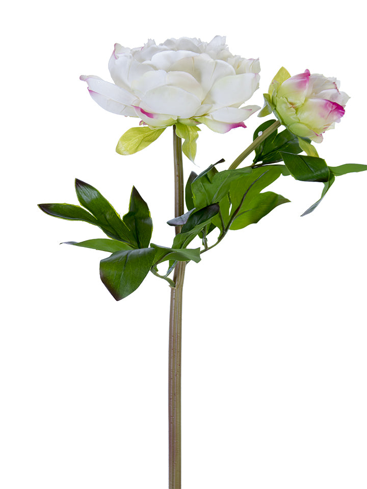 23" Fresh Touch Peony Stems (Various Colors)