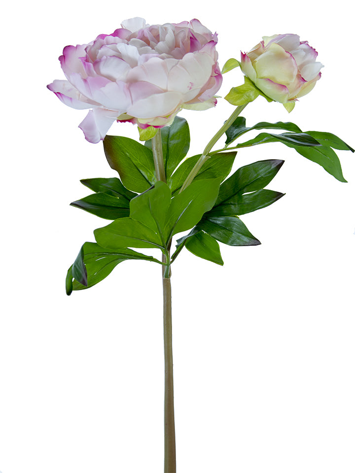 23" Fresh Touch Peony Stems (Various Colors)