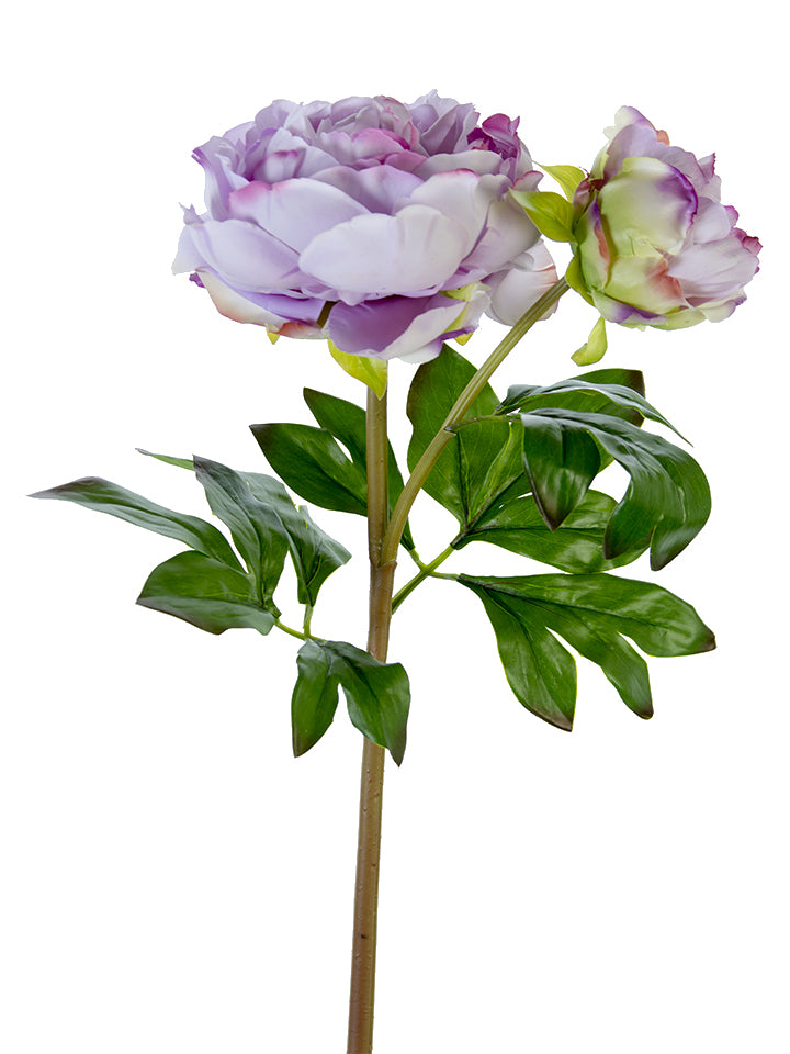 23" Fresh Touch Peony Stems (Various Colors)