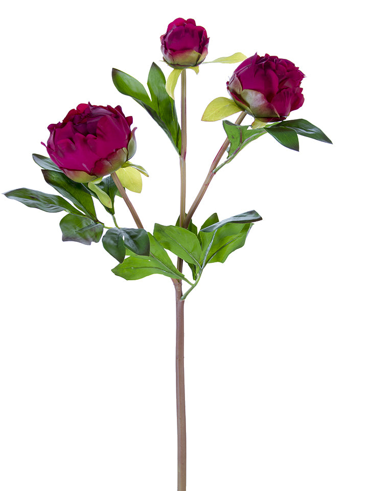 28" Peony Buds Spray (Various Colors)