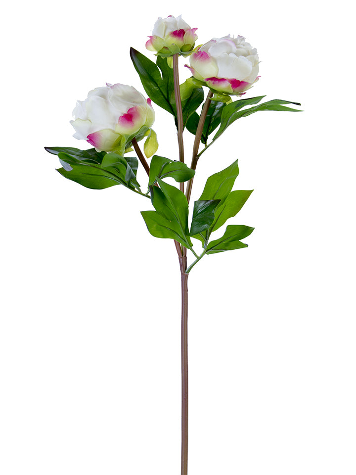 28" Peony Buds Spray (Various Colors)