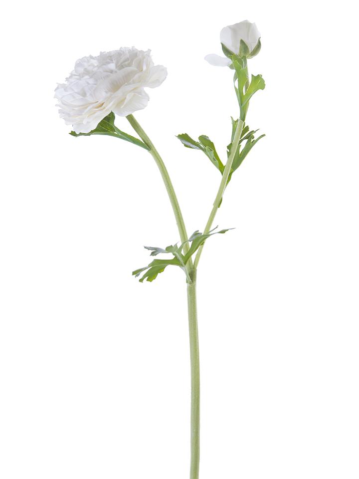 22" Butter Cup Ranunculus Spray (Various Colors)