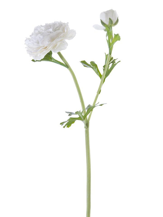 22" Butter Cup Ranunculus Spray (Various Colors)