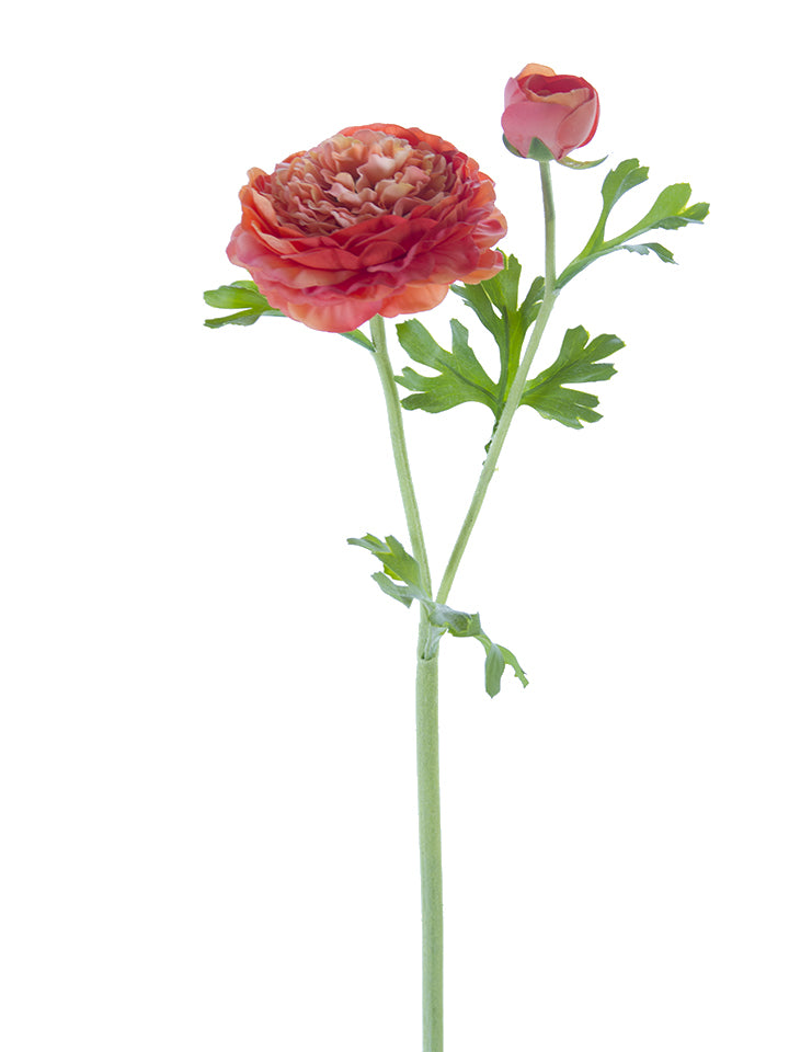 22" Butter Cup Ranunculus Spray (Various Colors)
