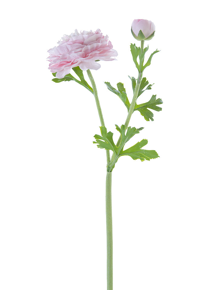 22" Butter Cup Ranunculus Spray (Various Colors)