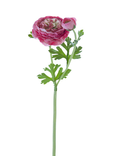 22" Butter Cup Ranunculus Spray (Various Colors)
