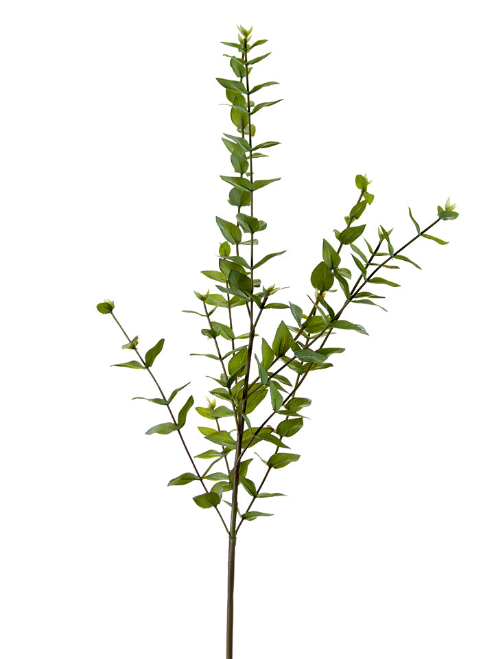 38" Mini Heart Eucalyptus Spray, Green