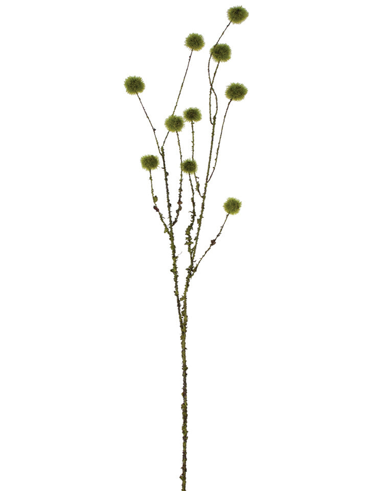 40" Moss Ball Branch