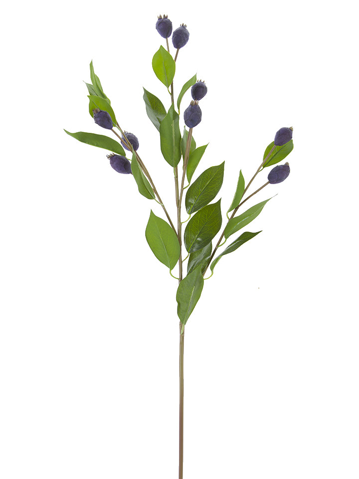 32" Dune Berry Fruit Spray, Plum