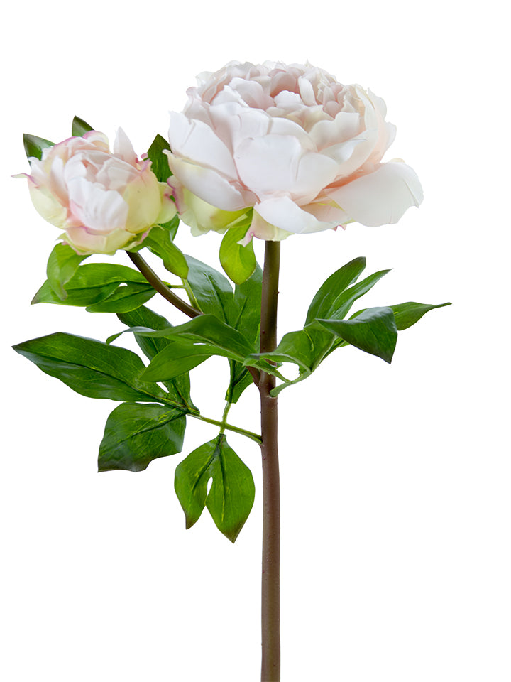23" Fresh Touch Peony Stems (Various Colors)